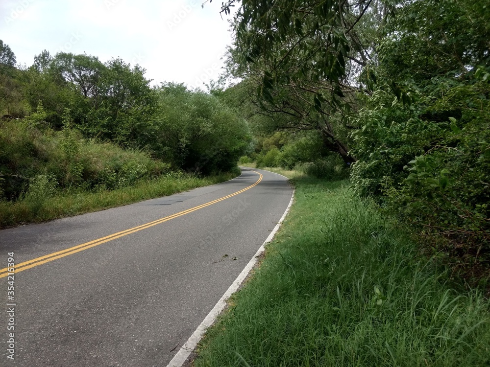 Ruta en el bosque