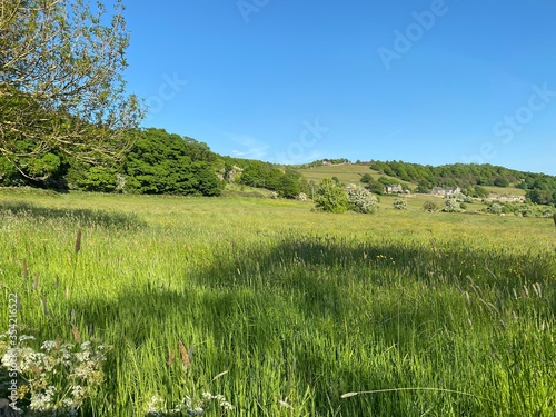 Landscape view along the valley with long grasses and trees in  Shibden Valley  Halifax  UK