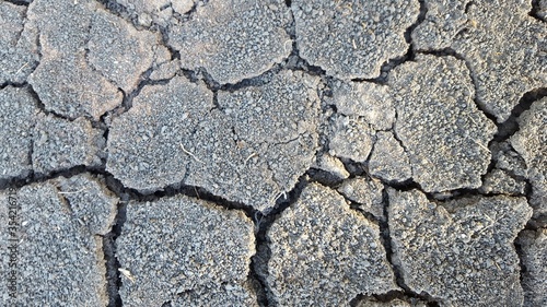 The land is dry and lacking water.