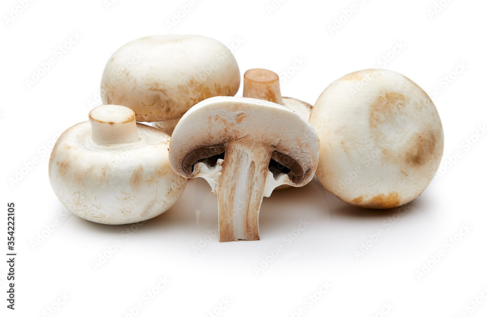 Mushroom Isolated on White Background Mushroom Isolated on White Background