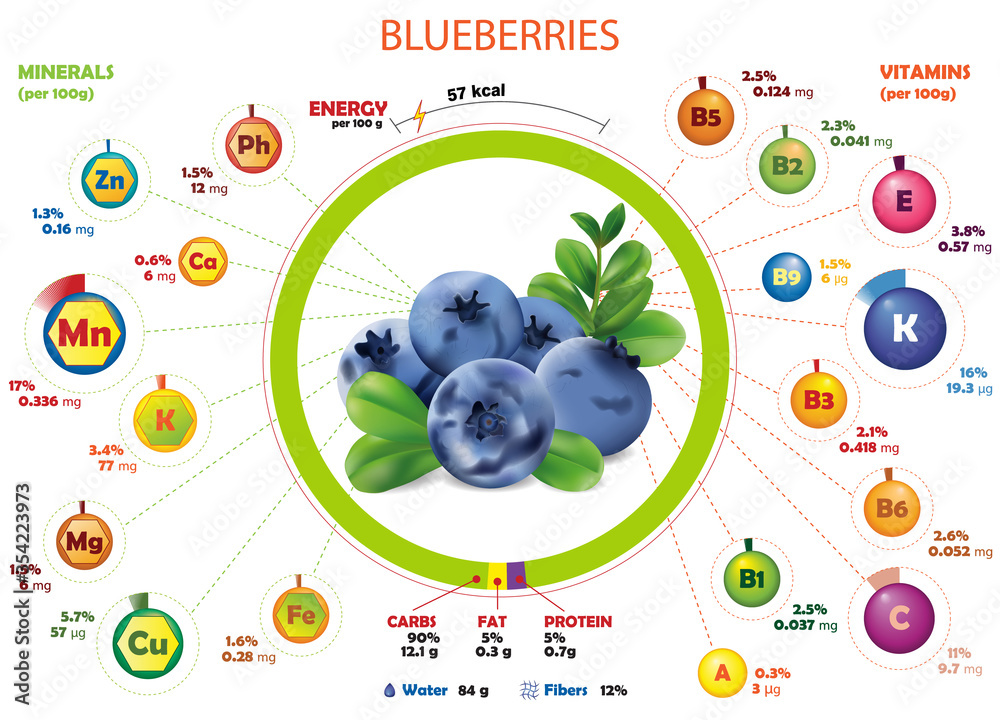 Calories, vitamins and minerals infographics of blueberry. Calorific