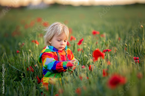 Sweet child, blond boy, playing in poppy field on a partly cloudy day, dramatic sky © Tomsickova