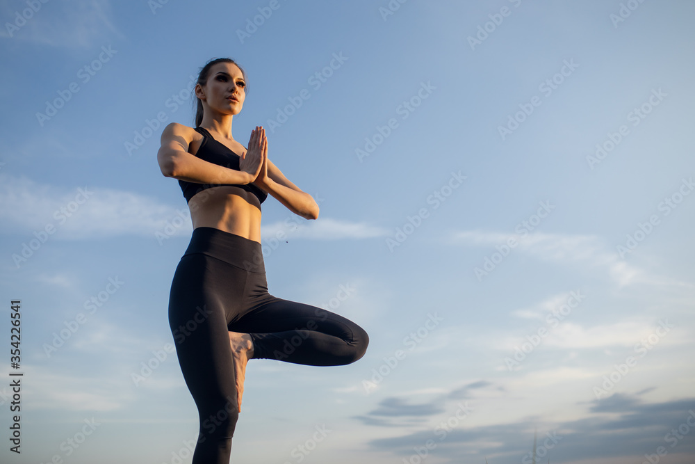 Silhouette rear view of woman doing yoga in tree pose meditating on a rock by the sea with sunset Silhouette rear view of woman doing yoga in tree pose meditating on a rock by the sea with sunset
