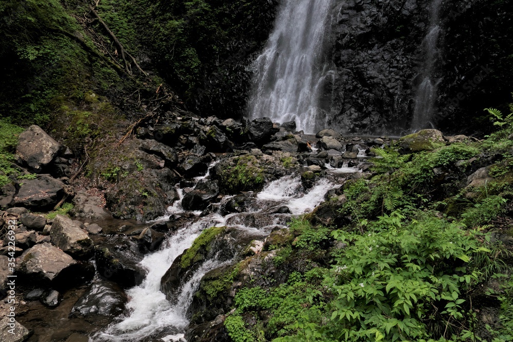 Obraz premium 滝つぼから流れ出た渓流 