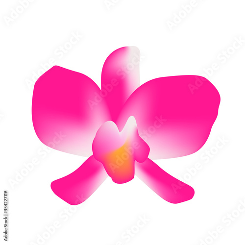orchid flower single isolated on white background, petals orchid purple for clip art, illustration orchid pink, icon violet purple orchid flower simple