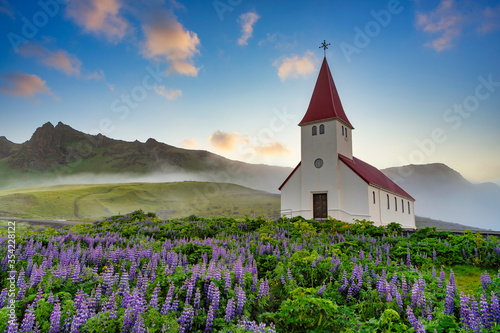 Vik i Myrdal Church, in the summer with lupine in full bloom In a rural town in southern Iceland, in the morning fog, the picture is bright and fresh. This is a popular tourist destination.