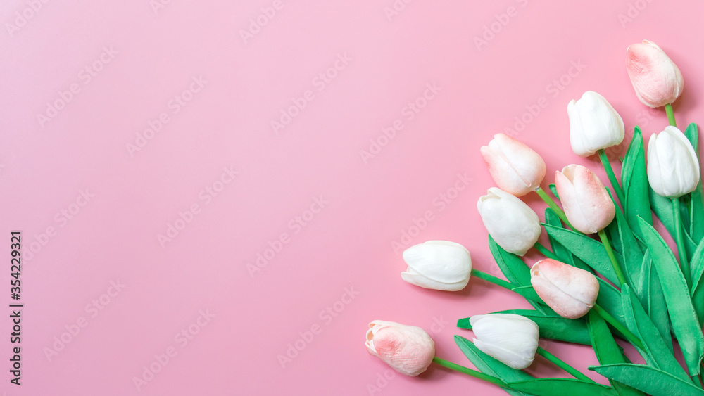 Peach color tulip on pink background, Copy space for text Peach color tulip on pink background, Copy space for text