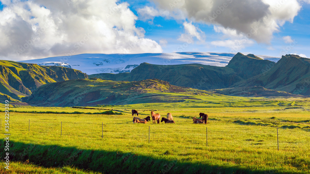 Herd of horses in the green field in the summer morning The background is a great mountain, blue sky makes the image look fresh. Bright and relaxing At a rural Icelandic farm.