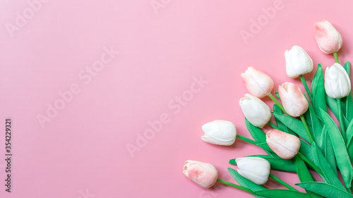 Peach color tulip on pink background  Copy space for text