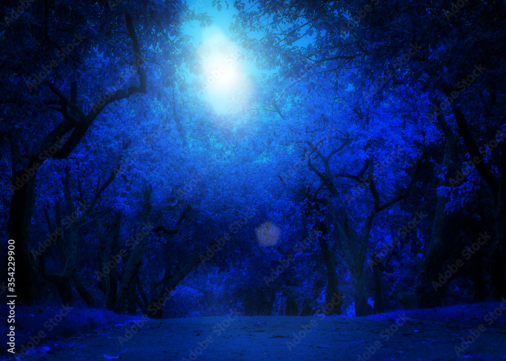 Blue night park apple trees