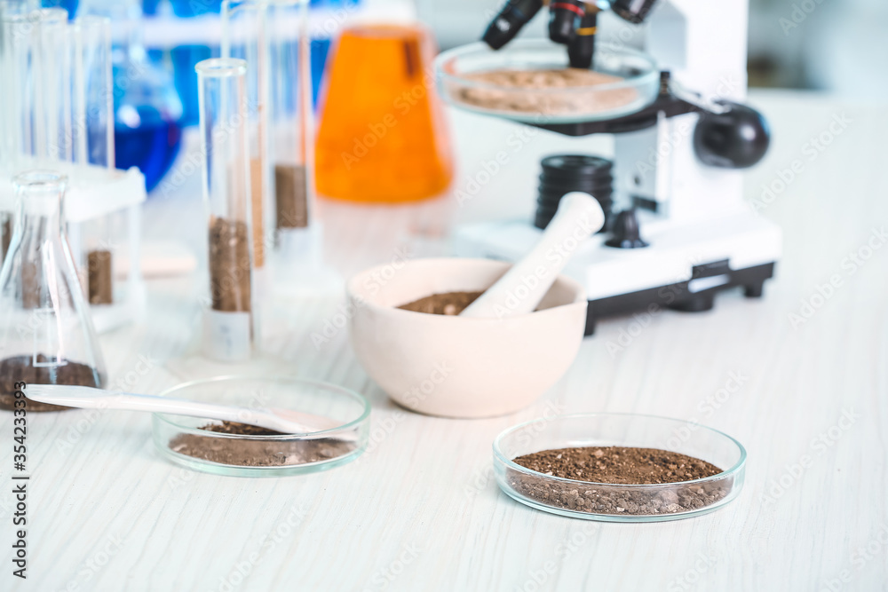 Fototapeta Samples of soil, microscope and glassware on table in laboratory
