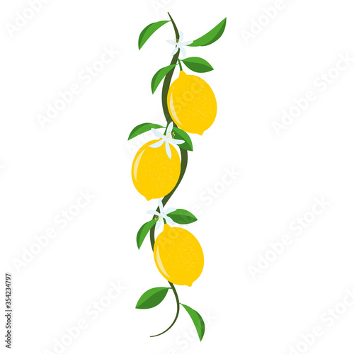 Decorative lemon branch with fruits, flowers and leaves. Flat design.