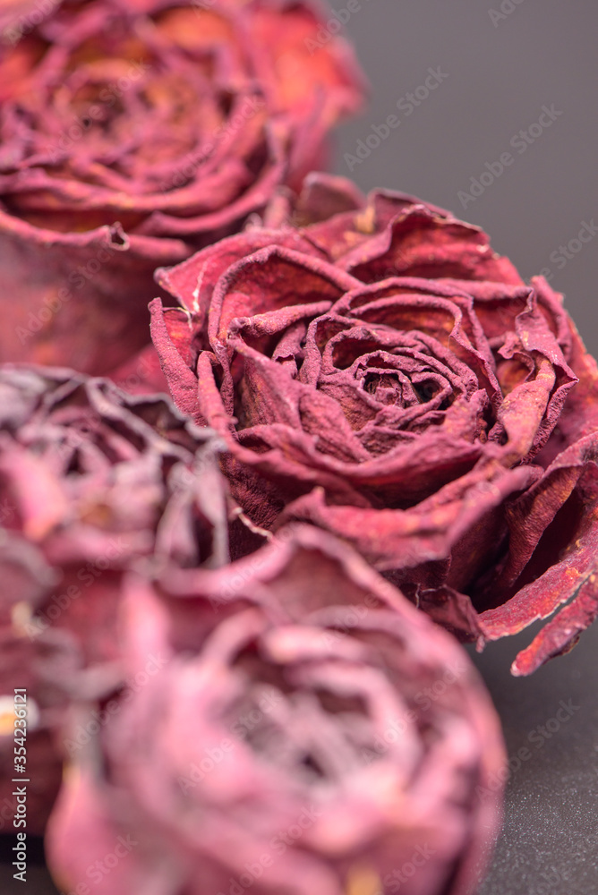 バラのドライフラワー