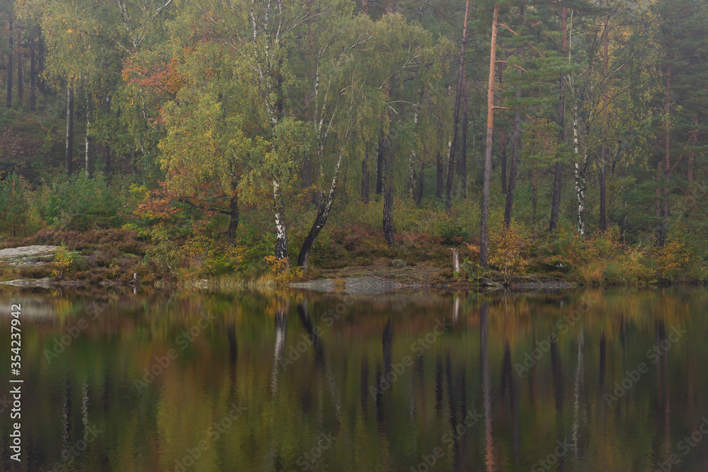 Autumn landscape, reflection in calm water. Trees that begin to get autumn colors. 
