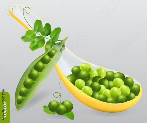 Fresh peas on a spoon, pea pod with vine, pile of beans with tendril and leaves. 3d realistic vector food illustration of vegetable.