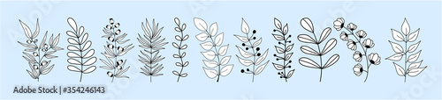 Set of black silhouettes of tropical leaves on an isolated white background. Botanical tree branches, palm leaf on the stem. Spring summer leaf. Concept design logo icons. Vector illustration.