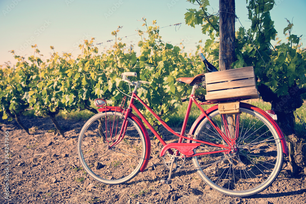 Caisse de bouteilles de vin à l'arrière du vieux vélo rouge d'un viticulteur dans les vignes en France.