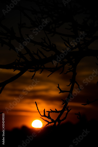 Contrast dark vertical background with a bright setting sun