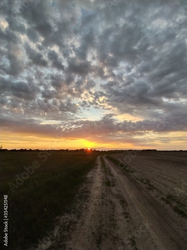 sunset in the field