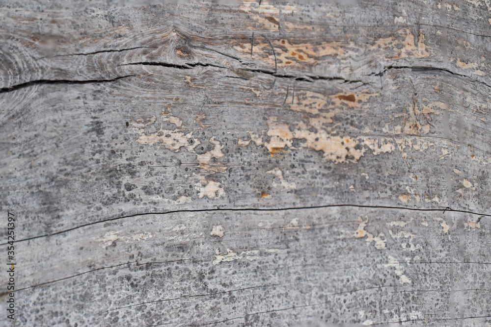 Rustic wood texture, wood planks. wooden surface for text or background. Rustic wood texture, wood planks. wooden surface for text or background.