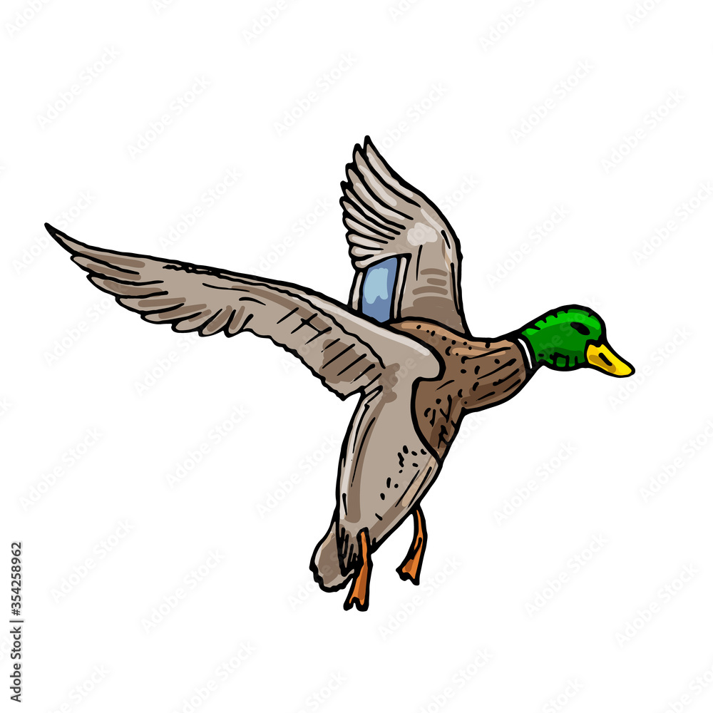 Obraz premium vector sketch wild bird