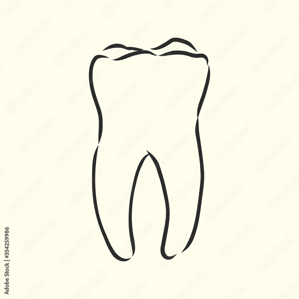 Hand-drawn black lines sketch molar, tooth. Doodle drawing. Object, Element, manuals, books or packaging, isolated vector . human tooth, vector sketch illustration Hand-drawn black lines sketch molar, tooth. Doodle drawing. Object, Element, manuals, books or packaging, isolated vector . human tooth, vector sketch illustration