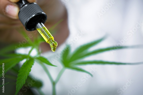 Doctor hand dripping hemp oil. Hemp oil drops details,  herb, medicine, drip, bio-medicine and ecologycbd oil from medical extraction