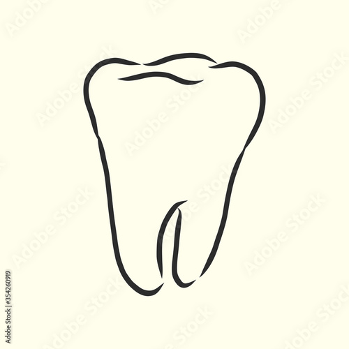 Hand-drawn black lines sketch molar, tooth. Doodle drawing. Object, Element, icon Component manuals, books or packaging, isolated vector . human tooth, vector sketch illustration