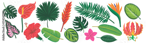 vector drawing exotic flowers