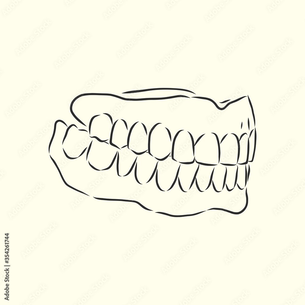 jaw vector sketch. dental jaw, vector sketch illustration jaw vector sketch. dental jaw, vector sketch illustration