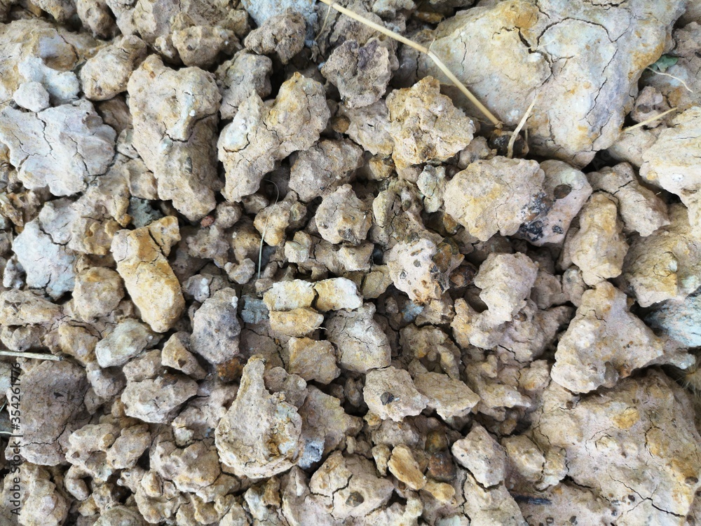 Soil background Soil background