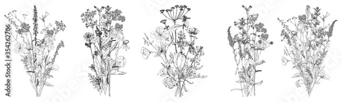 vector drawing flowers
