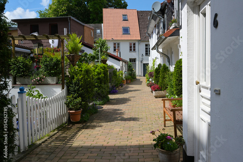 Beautiful narrow alley with small residential buildings and romantic planting in the old town of the hanseatic city Luebeck  Germany