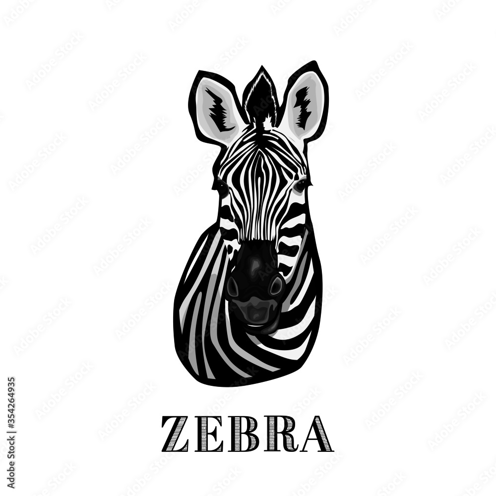 zebra vector illustration zebra vector illustration