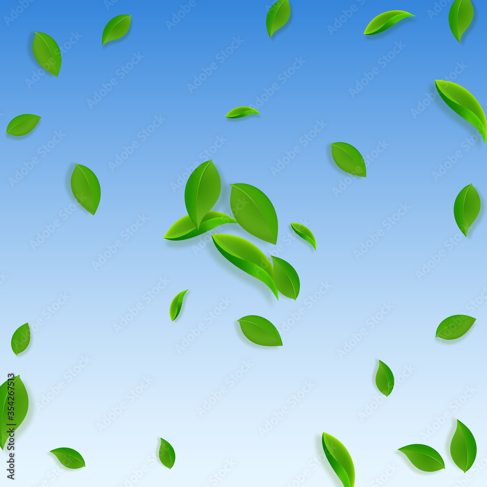 Falling green leaves. Fresh tea chaotic leaves fly Falling green leaves. Fresh tea chaotic leaves fly