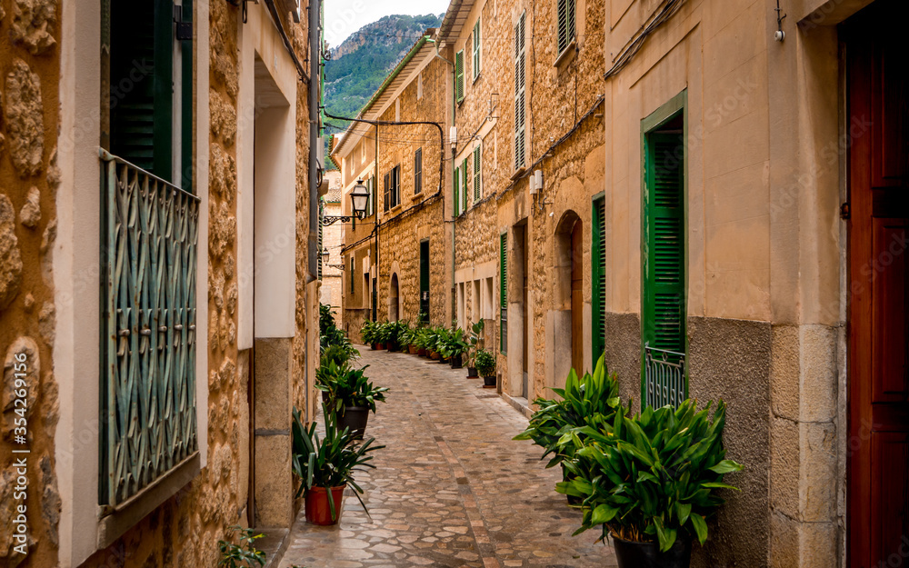 Naklejka premium quaint narrow alley in mediterranean flair lined with pot plants inside the old town of soller, popular travel destination in mallorca