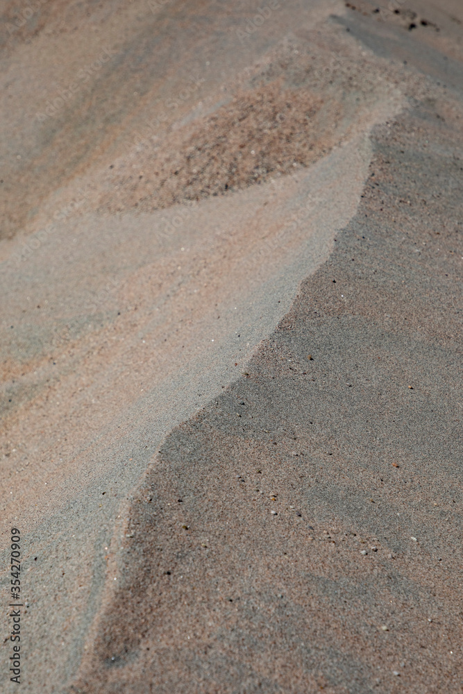 dune landscape in the desert