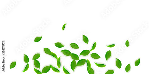 Falling green leaves. Fresh tea neat leaves flying