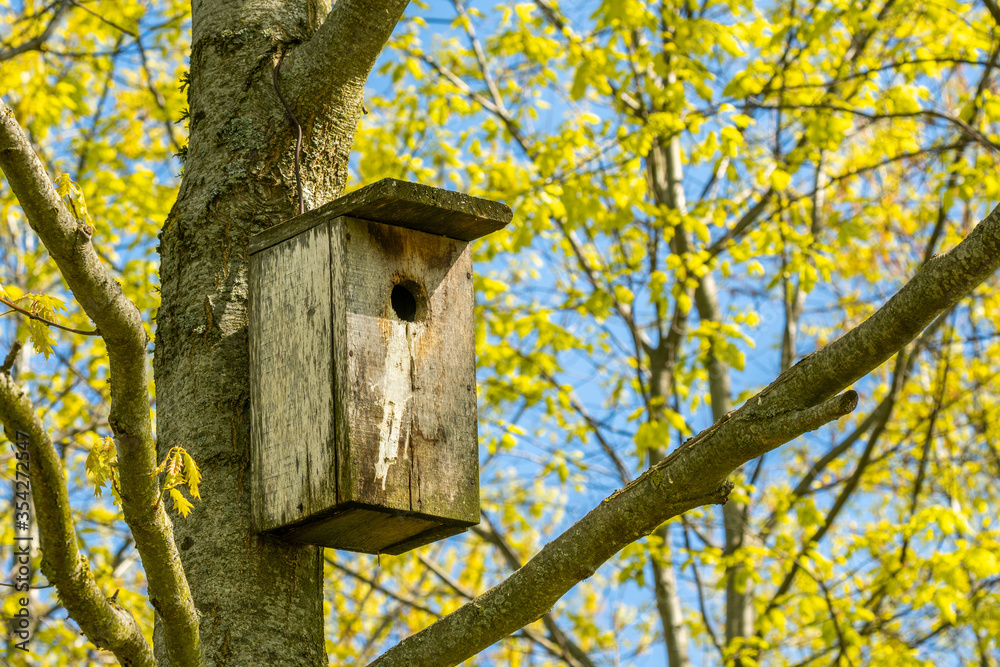 Old bird house hanging on a tree
