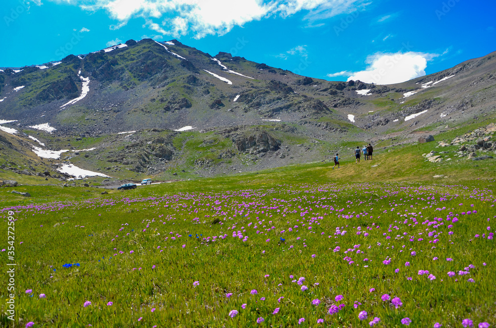 Fototapeta premium Bergfrühling im Kackar Gebirge Rize-Türkei