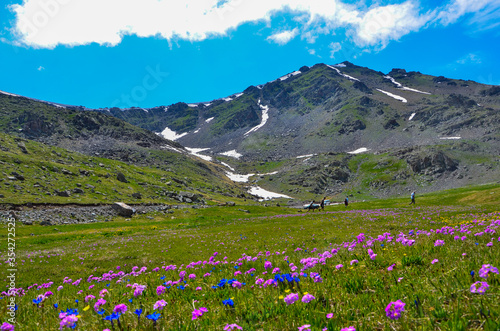 Bergfrühling im Kackar Gebirge Rize-Türkei