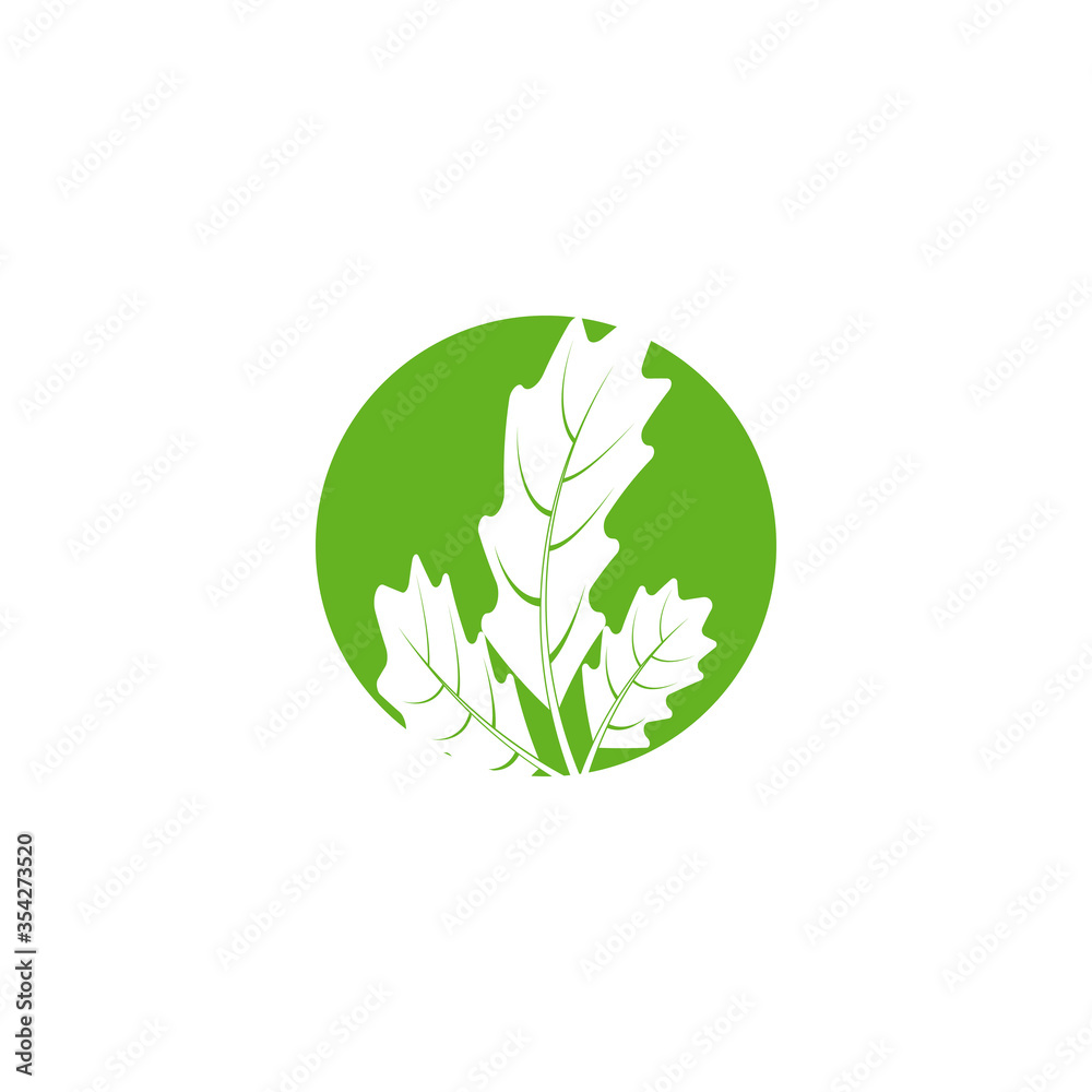 Maple leaf vector illustration Maple leaf vector illustration