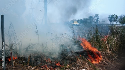 Bushfire near road in national park. Climate change crisis. Dry vegetation fire in dry season. Fotage 4k photo