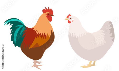 Rooster and chicken isolated on white background, vector illustration of domestic farm birds pair