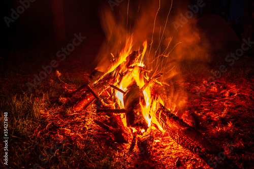 bonfire at night in the forest  sparks from a fire  Night campfire