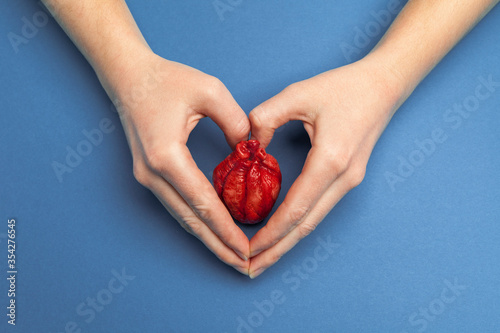Fototapeta Naklejka Na Ścianę i Meble -  Heart surgery concept, hands holds organ on blue background. Life saving and transplantation.