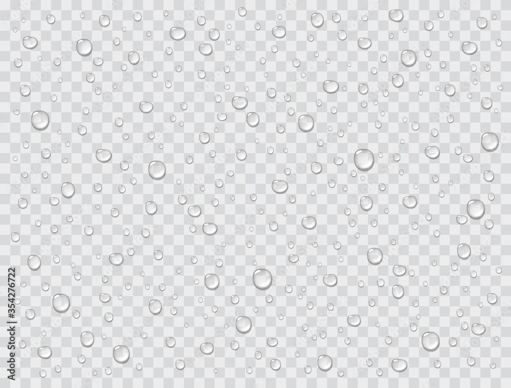 Water rain drops or steam shower texture isolated on transparent background. Vector pure droplets on window glass surface pattern