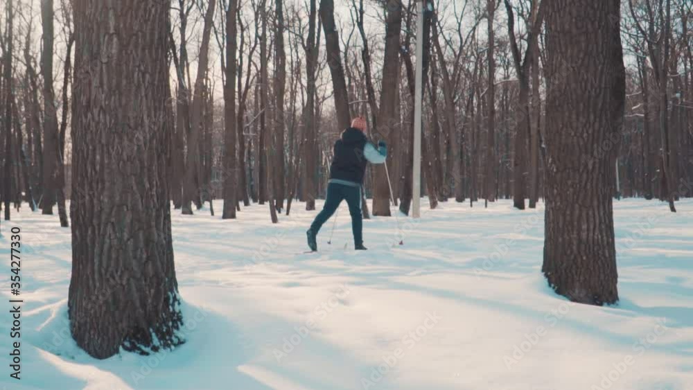 skier in a winter snowy park, trees in the setting sun skier in a winter snowy park, trees in the setting sun