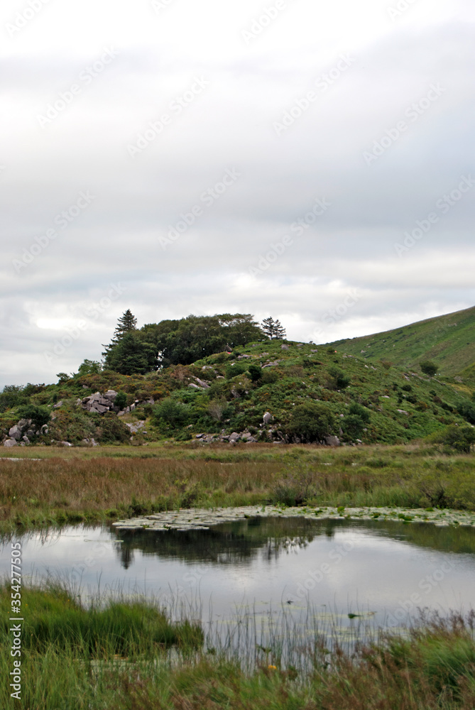 Lake with mountains in the background, Killarney National Park, Ireland