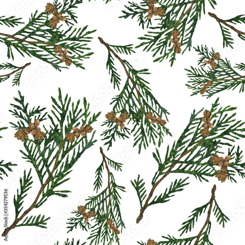 Watercolor cypress or thuja branch with cones seamless pattern on white background. Hand drawing illustration of evergreen tree twig. Perfect for medical, health care design, print.